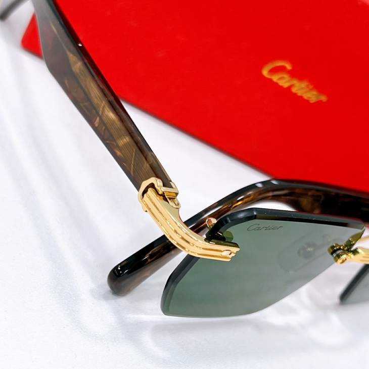 Picture of Cartier Sunglasses _SKUfw79566753fw